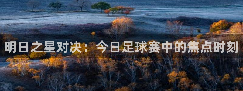 明日之星对决：今日足球赛中的焦点时刻