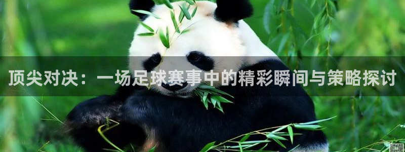 顶尖对决：一场足球赛事中的精彩瞬间与策略