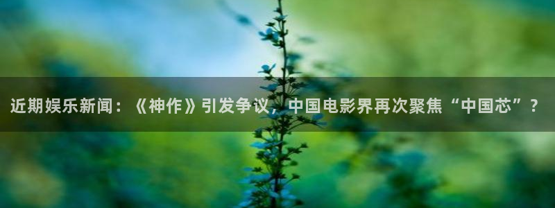 近期娱乐新闻：《神作》引发争议，中国电影